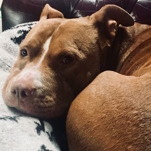 Meet your Posher, Marta